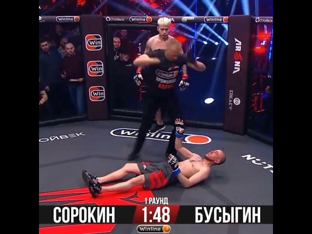 Вот это Нокаут. Самый лучший Нокаут от новичка