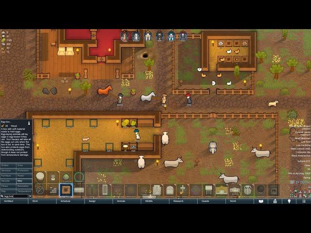 Rimworld: New Update/Patch 1.3 BETA Testing Review! Fences, Pens, Auto-Butchering, Egg Boxes, etc!!