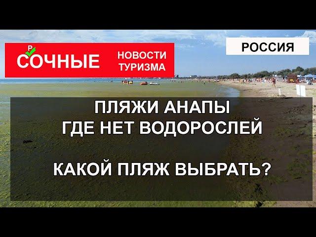 ПЛЯЖИ АНАПЫ | Где нет водорослей? Какой пляж выбрать Джемете, Сукко, Витязево, Выкокий Берег?