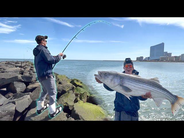 The MOST GIANT Land Based Stripers You Will EVER See!