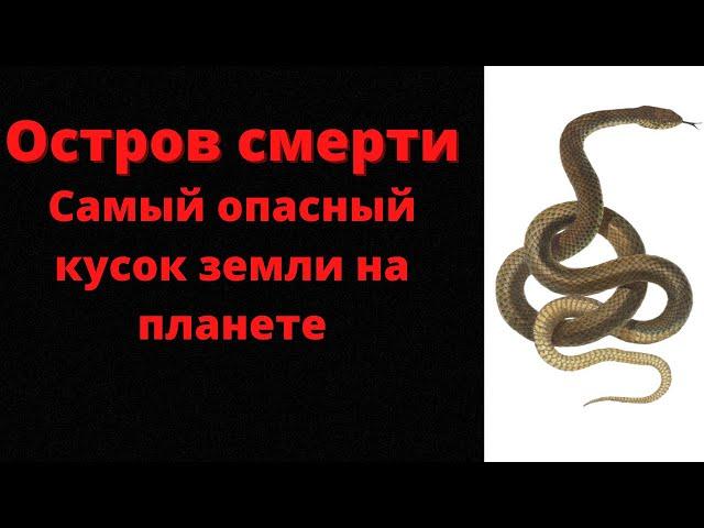 Самый опасный остров в мире(Остров Смерти)Кеймада-Гранди