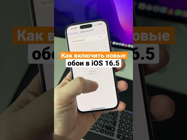 Секретные обои в iOS 16.5