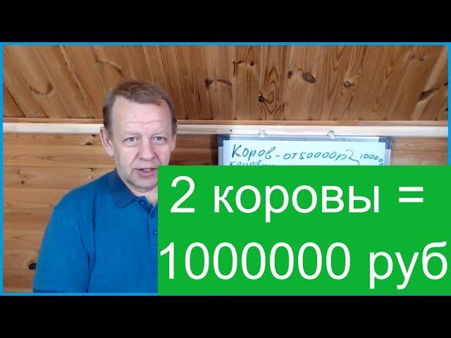 Бизнес в деревне 2 коровы. Семья может получить 1000000 рублей в год.