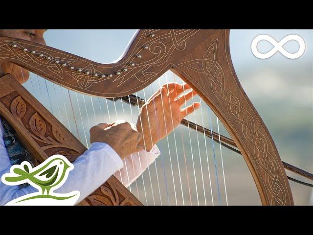 Relaxing Harp Music for Sleep & Meditation | Instrumental Background Music 49