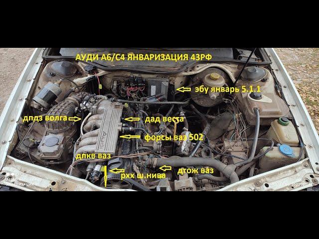 Ауди А6/С4 на ЯНВАРЕ 5.1..71