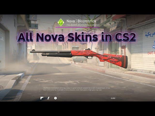 All Nova Skins in CS2 (No Sound)