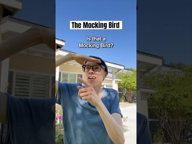 Me vs the Mocking BiRD #TheManniiShow.com/series iB​⁠​⁠@readchoi