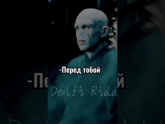 #хогвартс #лаванда #рек #гаррипоттер #dracomalfoy #гермионагрейнджер #драмиона #беллатриса