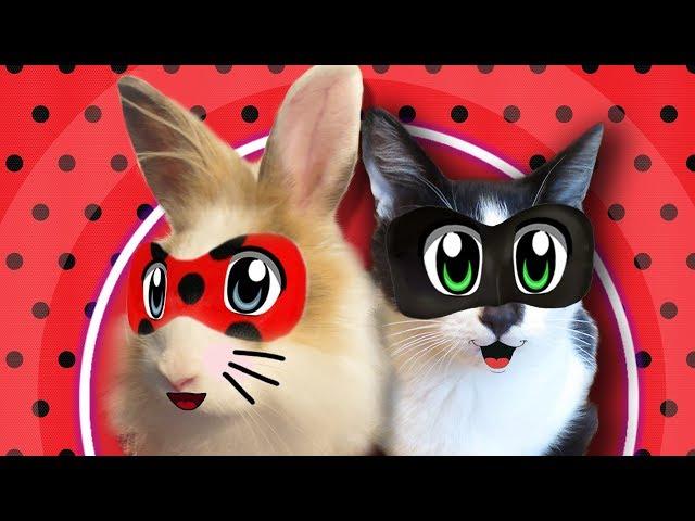 LadyBug and Cat Noir SEARCHING BOOKS! Miraculous ladybug (RABBIT BUFFY) and Chat Noir (Cat THE KIDS)