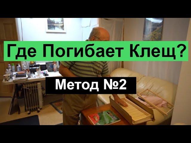 Пасека #42 Как без химии сократить клеща ? Где погибает клещ ? метод 2 Пасека Пчеловодство.