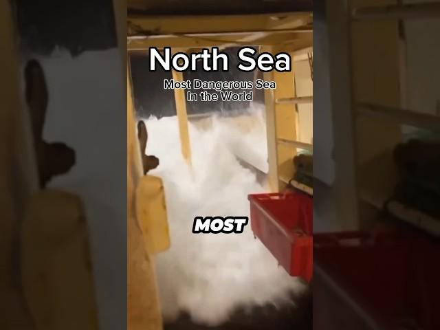 The most dangerous sea #northsea #waves #ocean