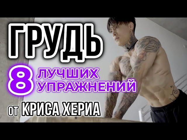 ЛУЧШАЯ ТРЕНИРОВКА НА ГРУДЬ дома и без оборудования | версия КРИСА ХЕРИА