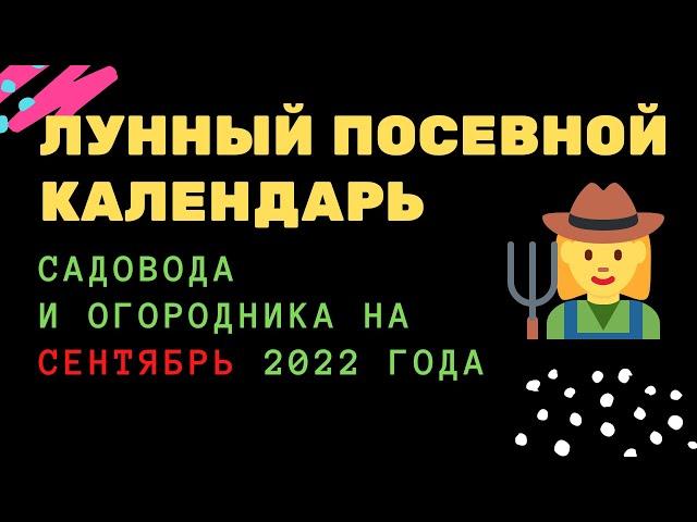 Лунный посевной календарь садовода и огородника на сентябрь 2022 года