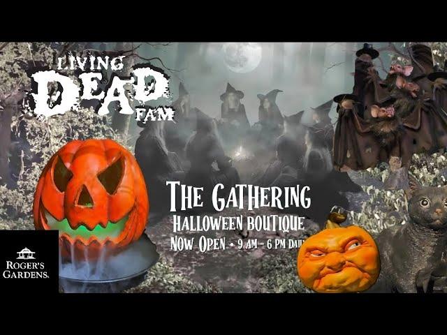 ROGER'S GARDENS The Gathering HALLOWEEN BOUTIQUE 2024 Store Walkthrough!