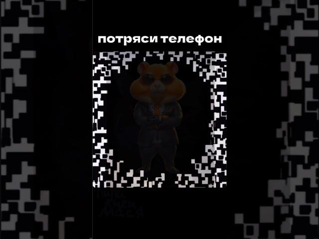 Хомяк двигается? #hamsterkombat #залетипж #приколы #хомяк #shorts