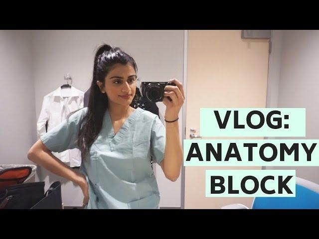 MEDICAL SCHOOL VLOG #2: Anatomy