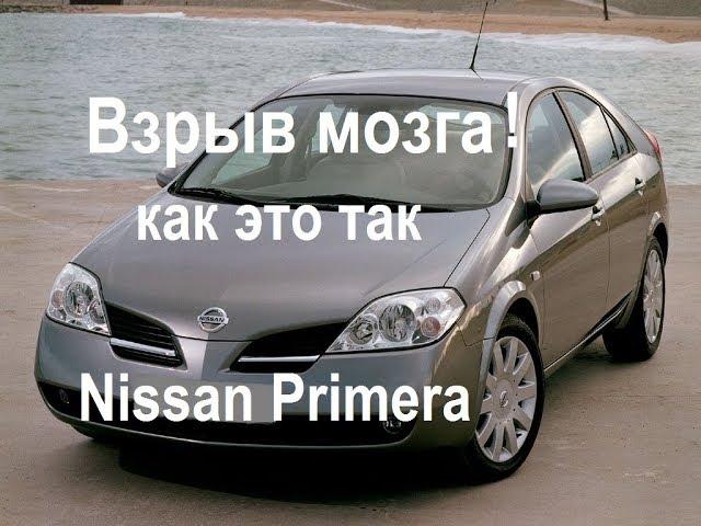 Недостатки Ниссан Примера. Обзор и тест-драйв Nissan Primera.