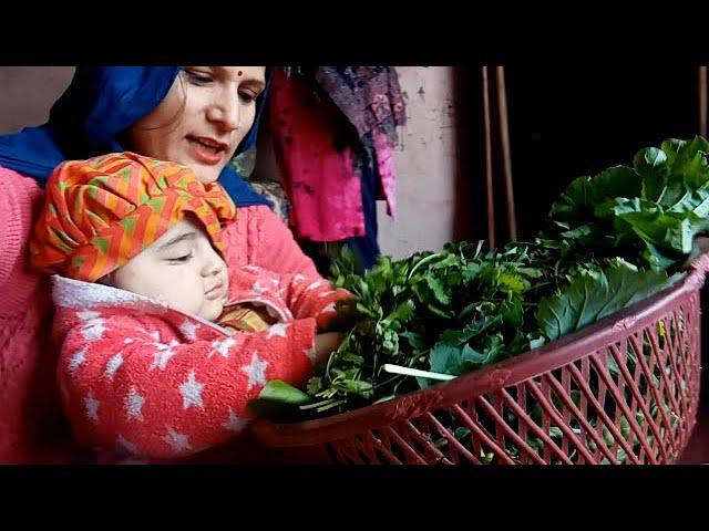 Village Morning Routine  Village food - Ritu Babli Vlogs