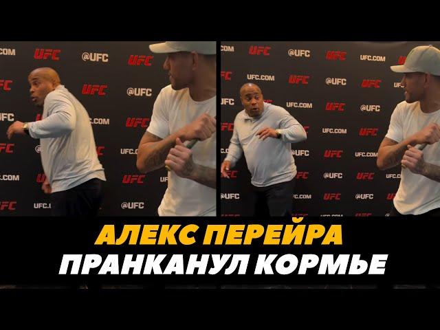 Алекс Перейра издевается над Кормье / Перейра - Прохазка | FightSpaceMMA