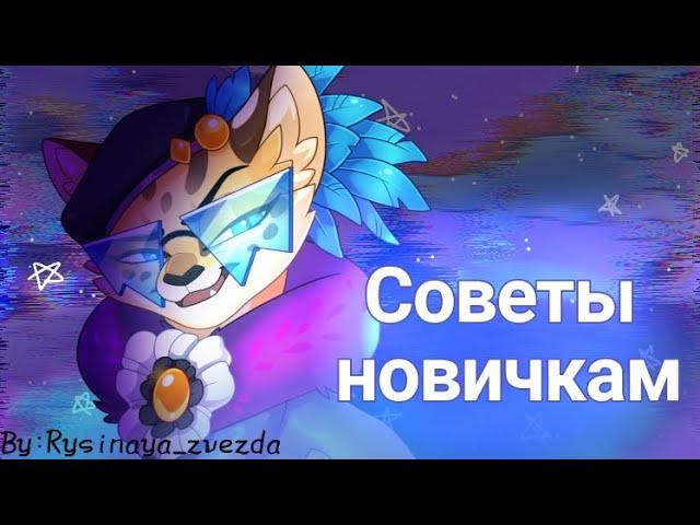 Советы новичкам ️|Castle cats|by:𝚁𝚢𝚜𝚒𝚗𝚊𝚢𝚊_𝚣𝚟𝚎𝚣𝚍𝚊