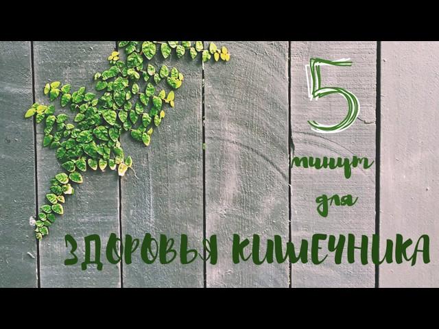 Пять минут для здоровья ЖКТ | упражнения для кишечника | плоский живот | здоровье жкт | йога жкт