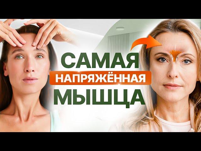 Из-за ЭТОЙ мышцы у 90% людей появляется МЕЖБРОВКА | Простое упражнение, чтобы ЭТО исправить