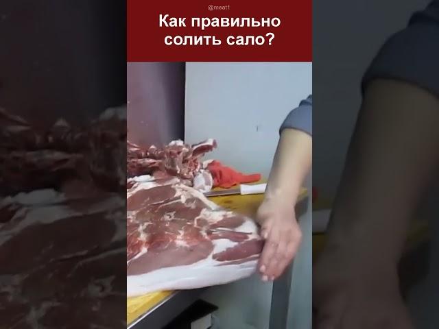 Лучший рецепт сала