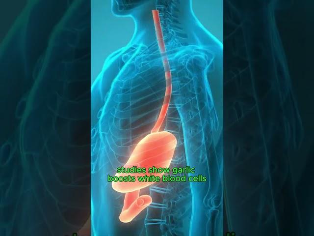 1 Food a Day for a Stronger Immune System – Day 1: Garlic 