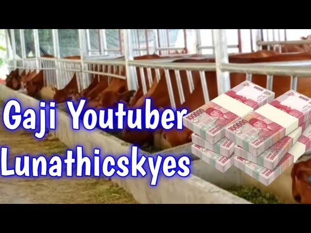 Gaji Youtube Lunathicskyes terbaru || Penghasilan Yotube Lunathicskyes