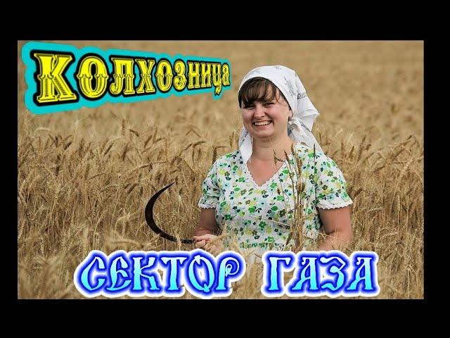 СЕКТОР ГАЗА  -  КОЛХОЗНИЦА