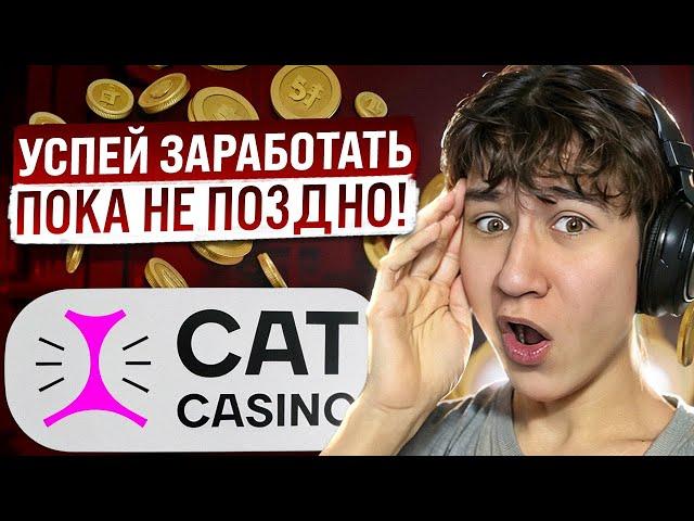  СЛОТЫ КОТОРЫЕ ДАЮТ - Проверка Cat Casino | Cat Casino Честный Обзор | Cat Casino Игровые Автоматы