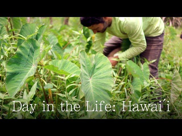 A Day in the Life of a Farmer in Hawai’i