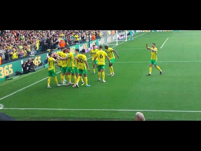 Josh Sargent goal 20mins for Norwich City v Hull City 05/10/24 Championship