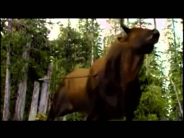 Cro Magnon Hunting Aurochs as Neanderthals Hunt Bison