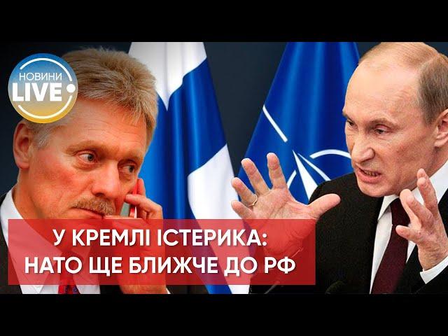 ️У кремлі заістерли після заяви Фінляндії про вступ до НАТО / Актуальні новини