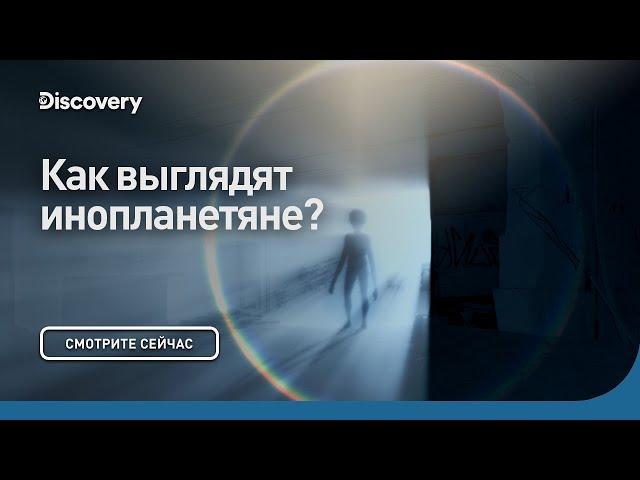 Как выглядят инопланетяне? | Сквозь кротовую нору с Морганом Фрименом | Discovery