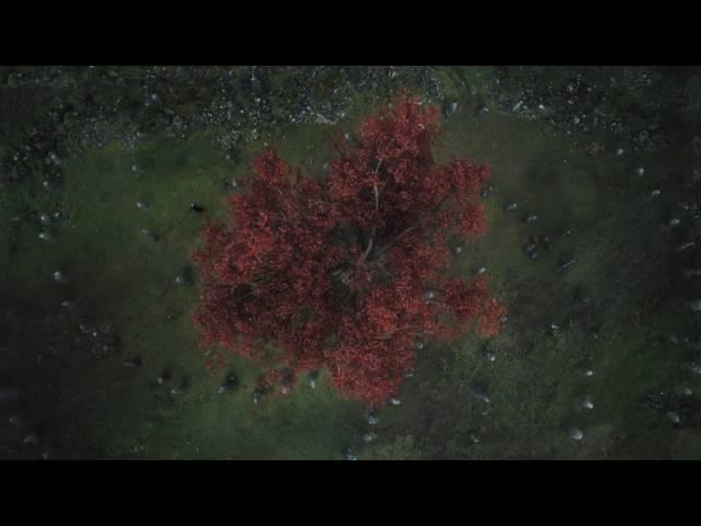 Children of the forest created the white walkers