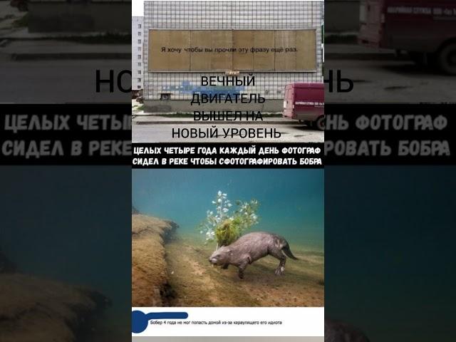 #meme #memas