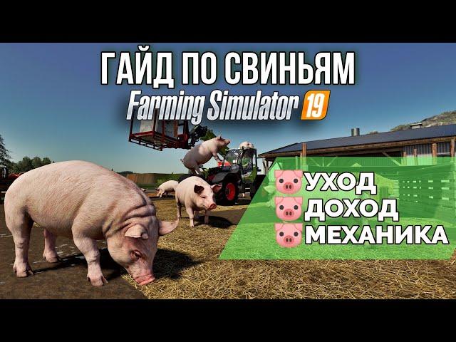 Свиньи, подробный гайд. Уход, доход, механика | Farming Simulator 19