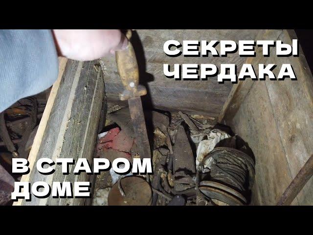 МАРОДЁРЫ не добрались на БОГАТЫЙ ЧЕРДАК в ЗАБРОШКЕ #19