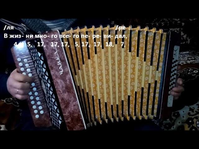 Сектор Газа ,"Лайф". Разбор на гармони.