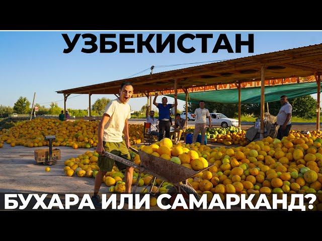 Узбекистан. Таможня  Почему Бухара лучше Самарканда? Обзор. Еда. Цены. Путешествие по стране