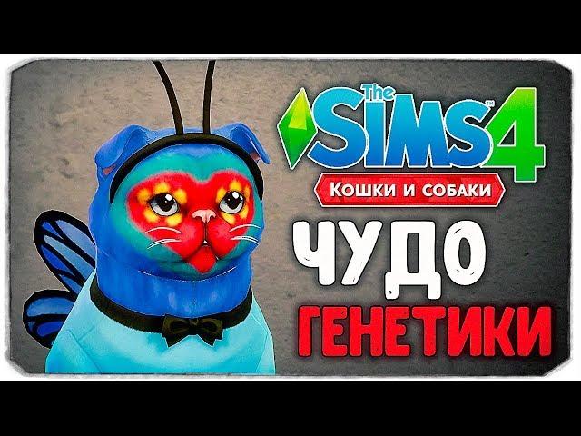 ЧУДО ГЕНЕТИКИ, МИЛАШКИ КОТЕЙКИ? - The Sims 4 "Кошки и Собаки"