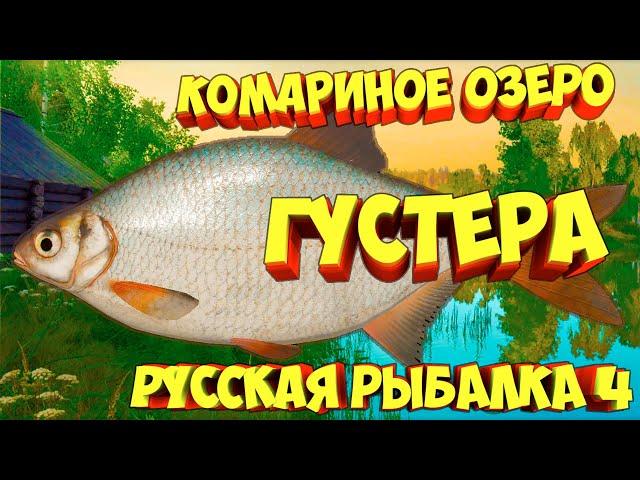 русская рыбалка 4 - Густера озеро Комариное - рр4 фарм Алексей Майоров russian fishing 4