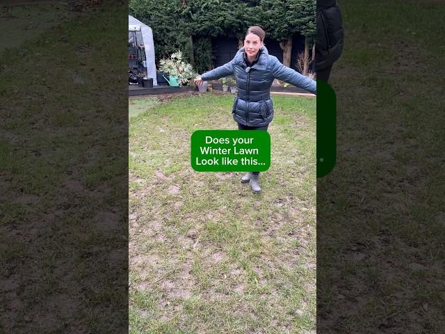 EASY Lawn Care! Ready to transform the lawn this spring #lawn #garden #gardening #gardeningtips en