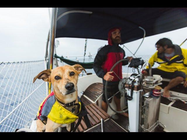 3 Guys and a Dog Sail to Belize (Sea Change - Chapter 1)