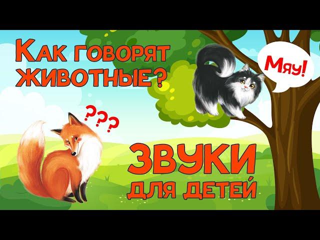 Животные для Детей + Учим Животных + Как говорят Животные + Звуки и Голоса Животных