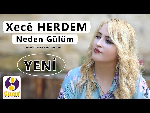 Xecê Herdem - Neden Gülüm (Akustik)