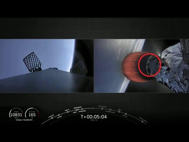 Rats Hitch A Ride On SpaceX Rocket!