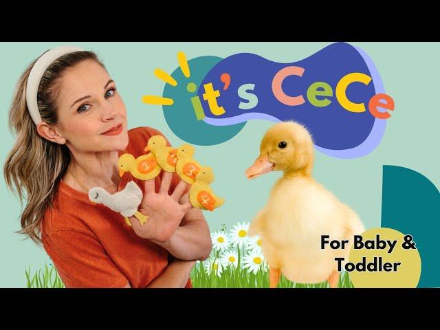 Parents Choice for Baby & Toddler I Learn to Talk I Five Little Ducks Song for Kids I It's CeCe!